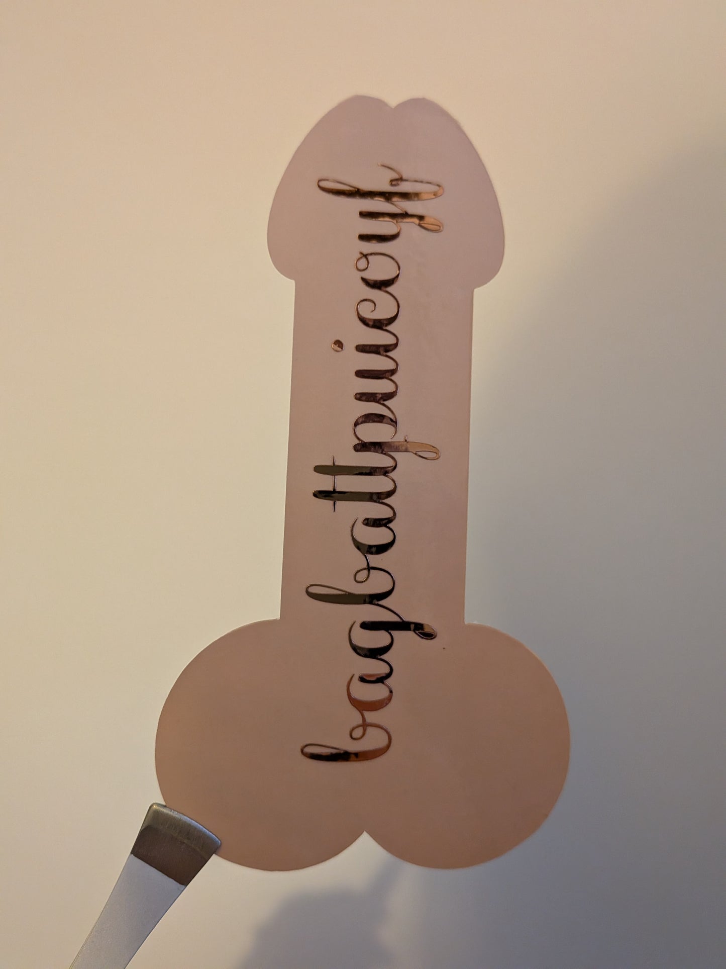 Booktok Smut Bookmarks